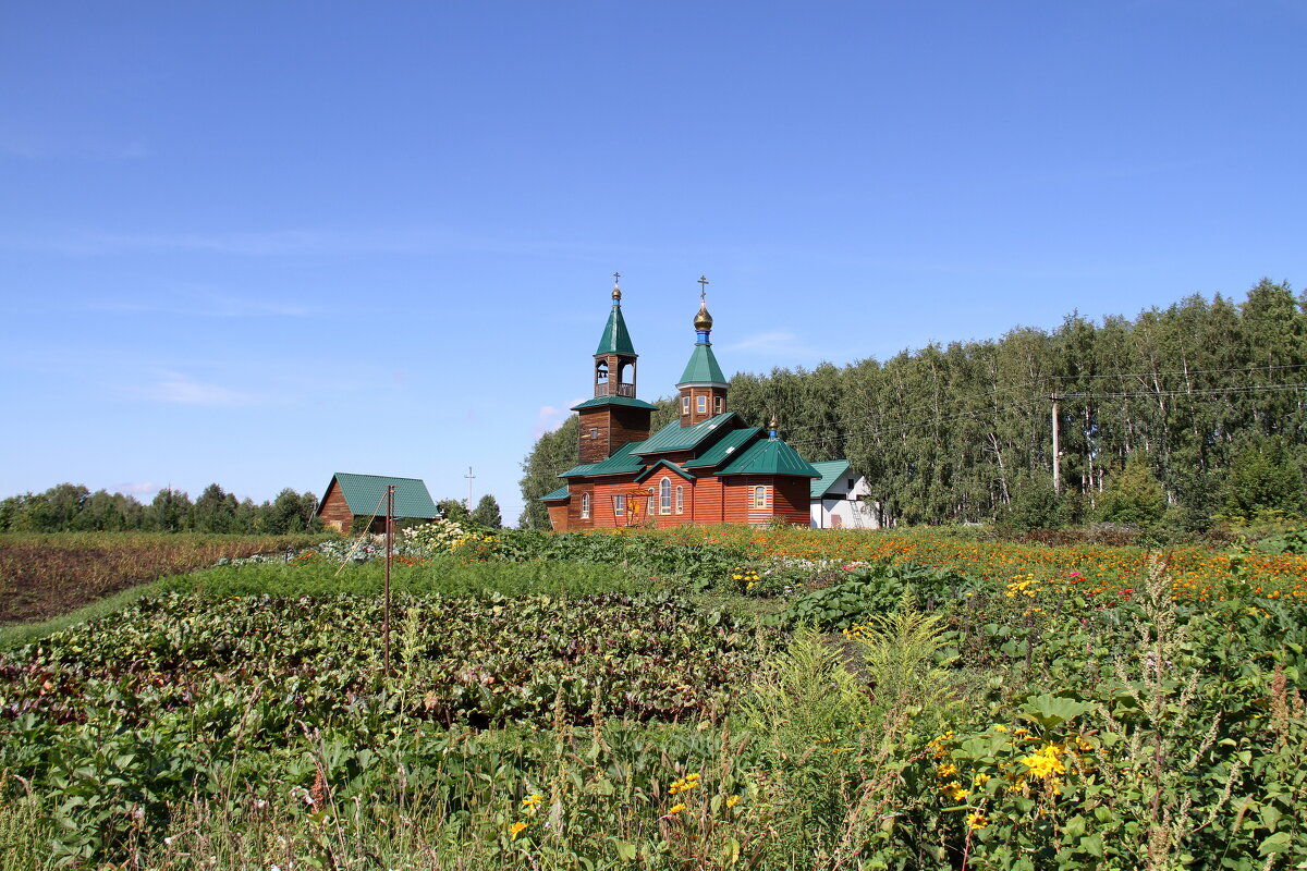 ** - Vlad Сергиевич