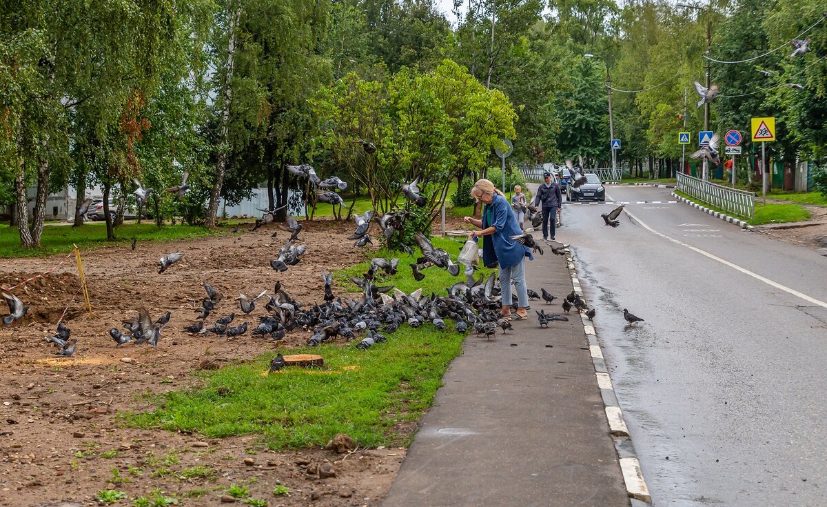 Покормить голубей - Валерий Иванович