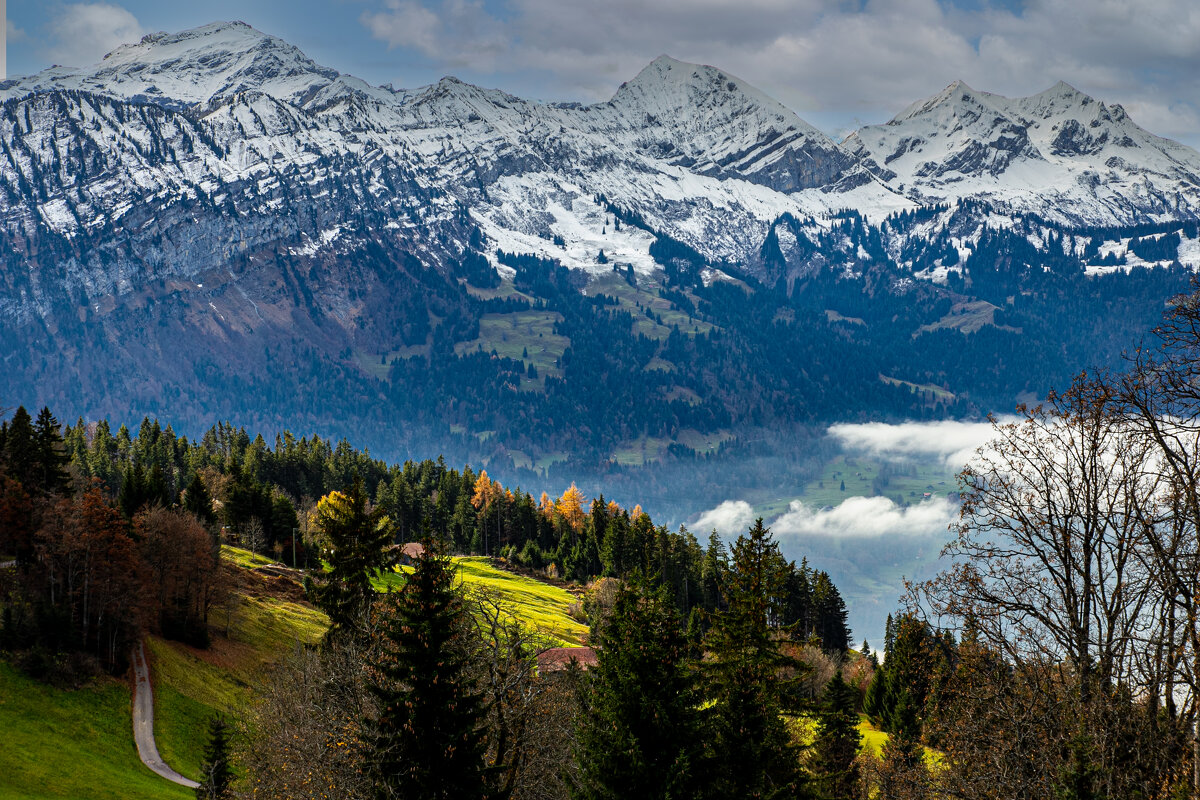 Швейцарские Альпы. - Lucy Schneider 
