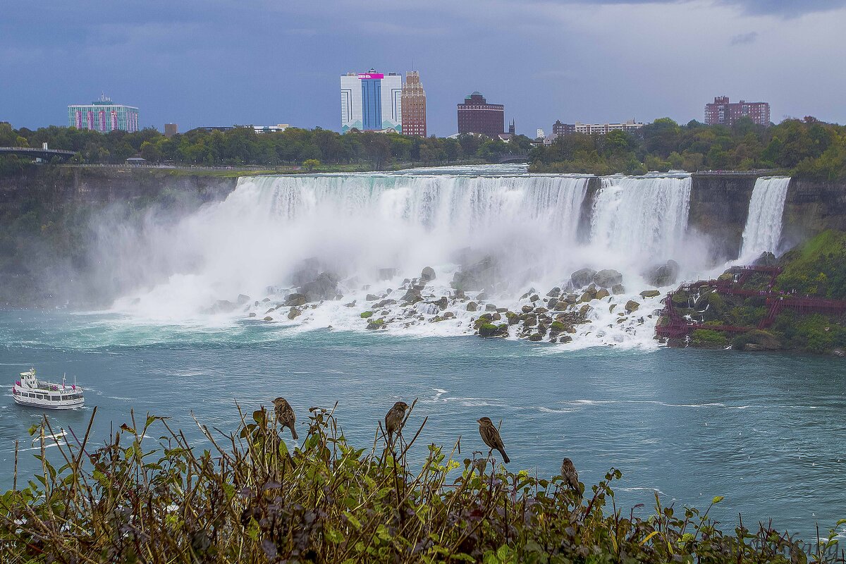 Niagara Falls - Al Pashang 