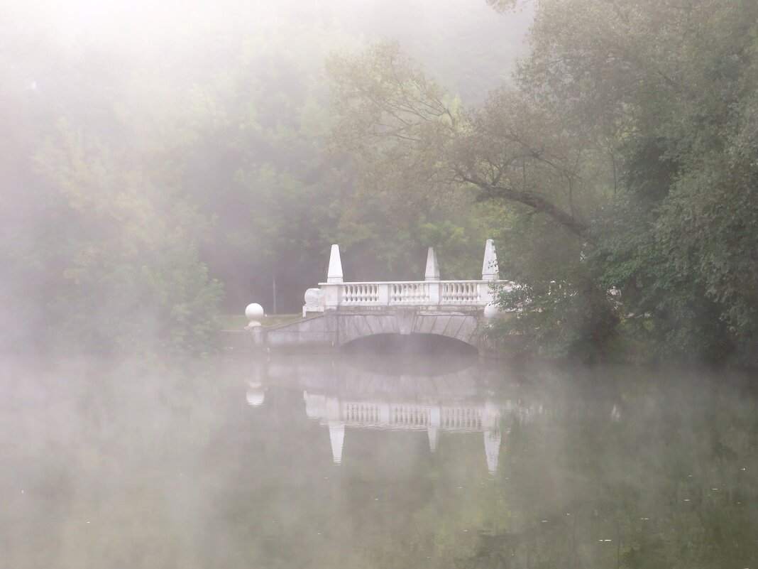 Мост в тумане - Андрей Снегерёв