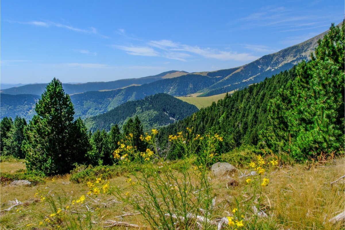 Поход в Пиренейских горах (4) - Георгий А
