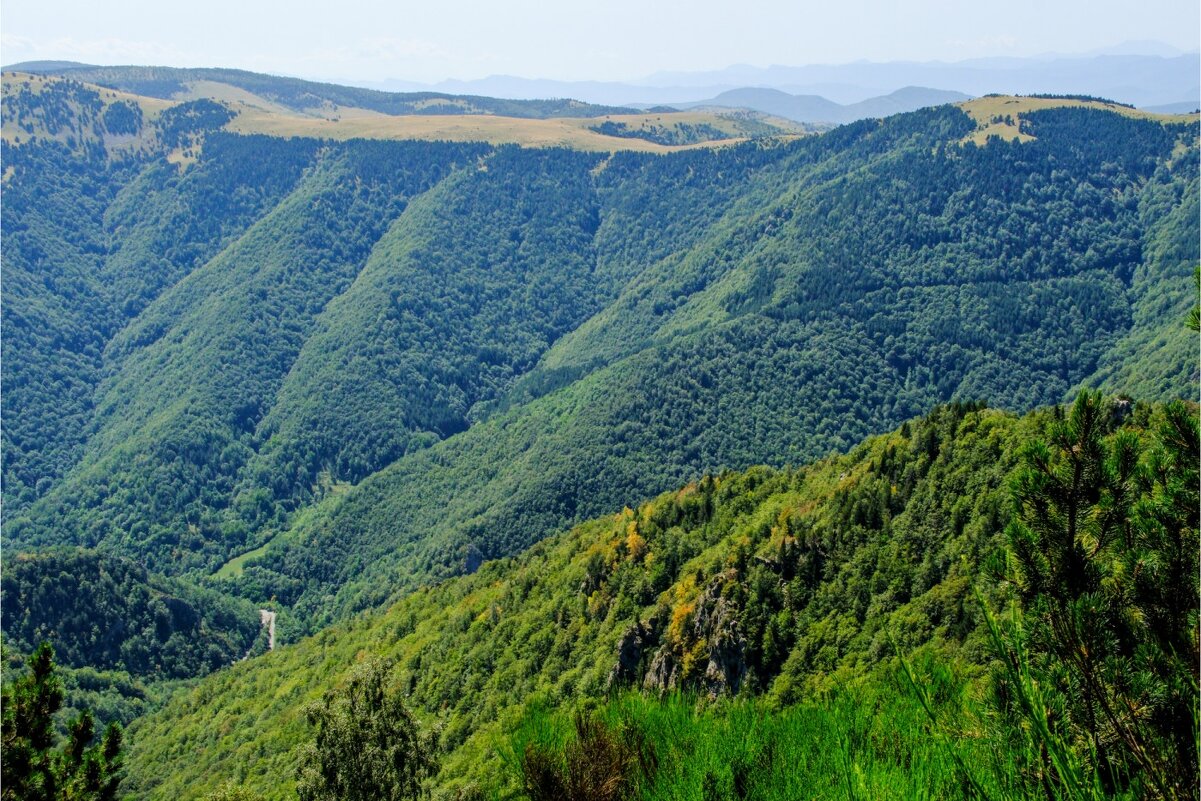 Столько леса в горах Пиренеи - Георгий А