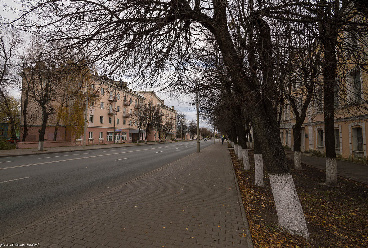 Улица Б. Московская. г. Владимир. - Андрей Андрианов