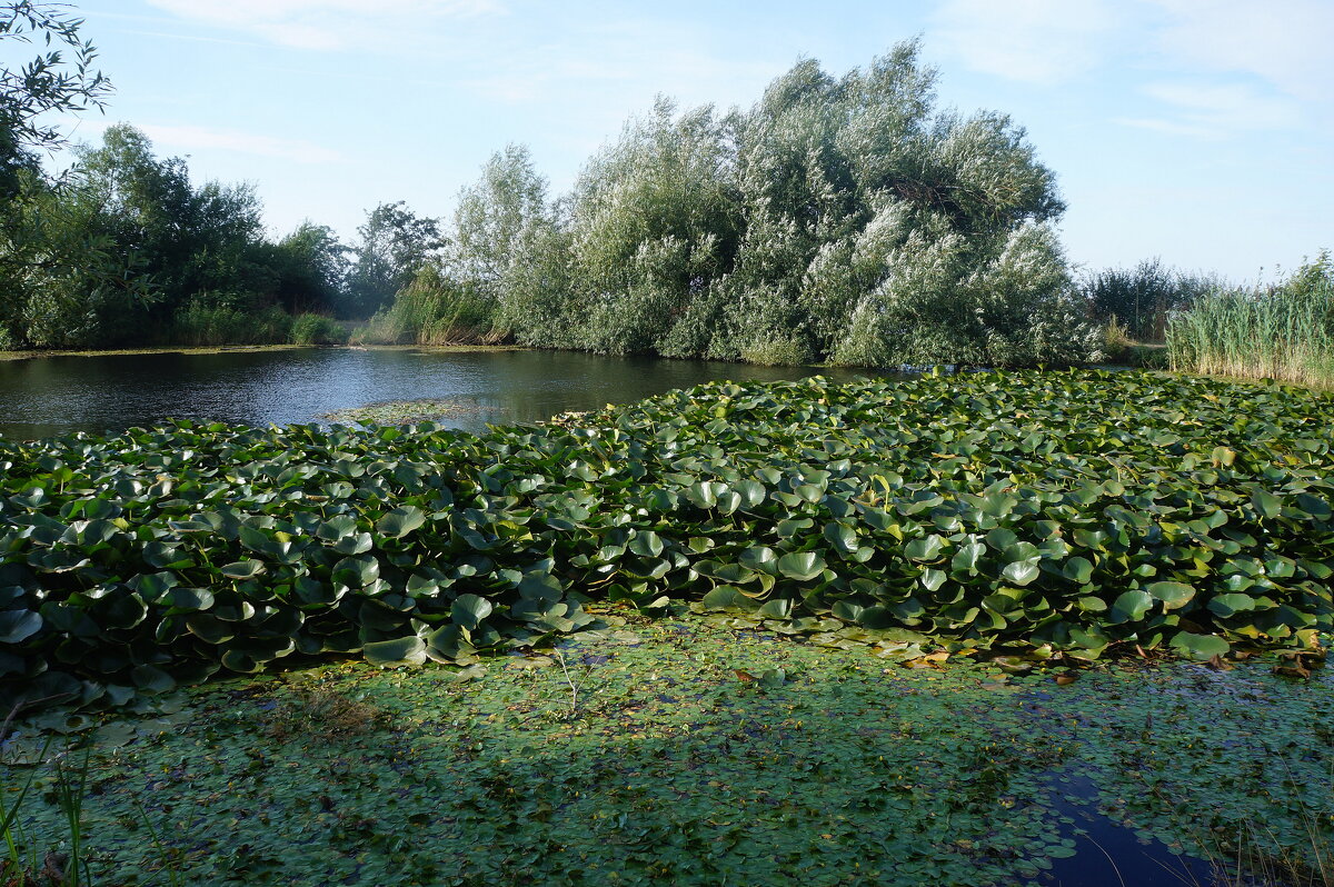 озеро - zavitok *