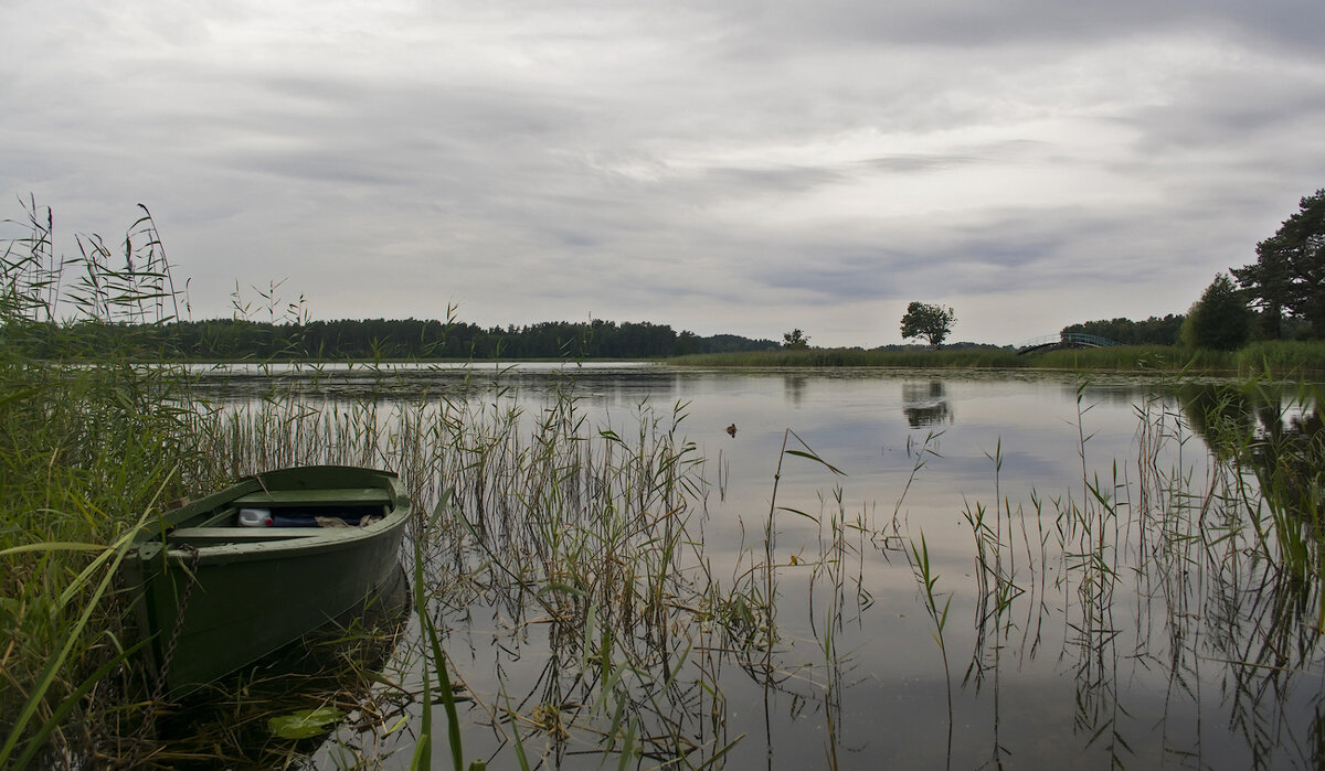 *** - Регина 