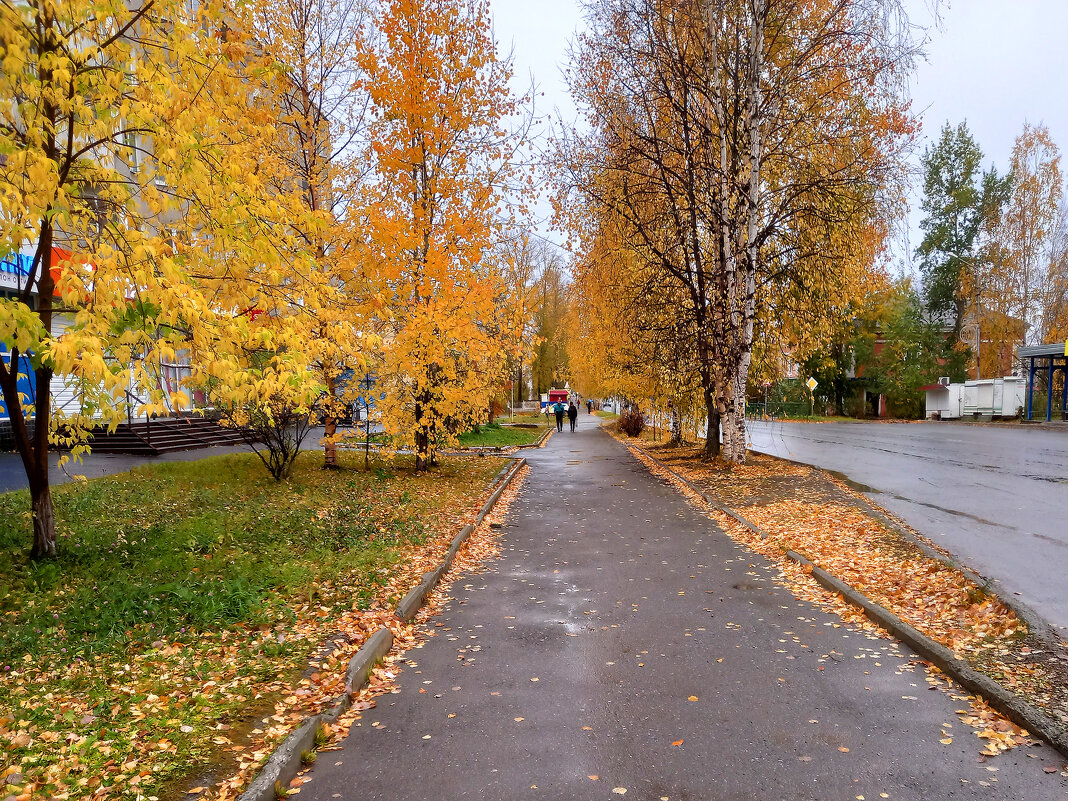 Дорожка в осень - Алевтина 