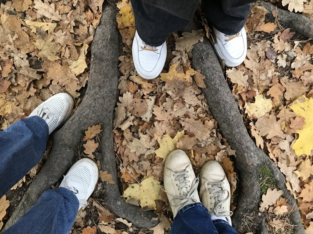 Трио в лесу - Любовь 