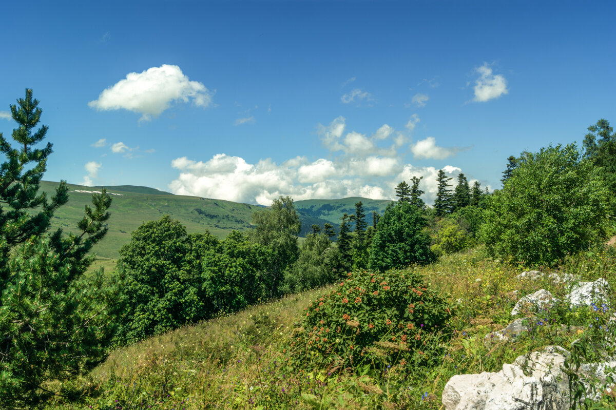 Лаго-Наки - Игорь Сикорский