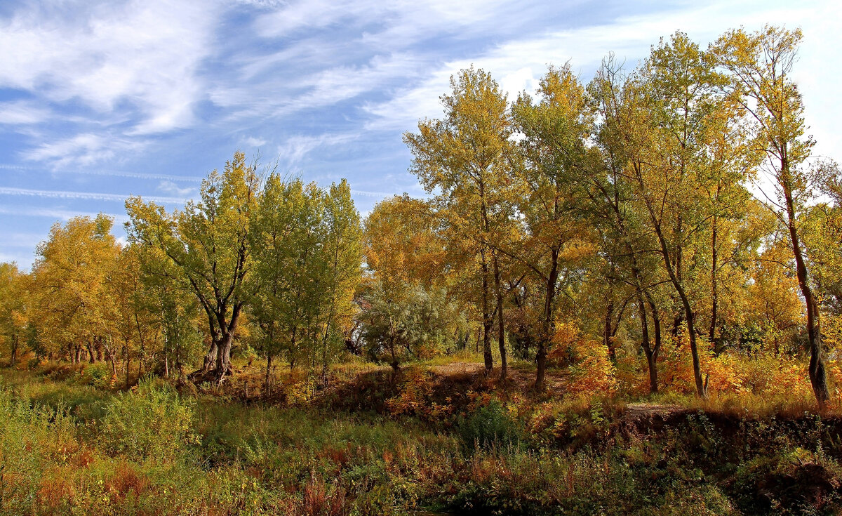 Волгоградская природа - Dr. Olver ( ОлегЪ )