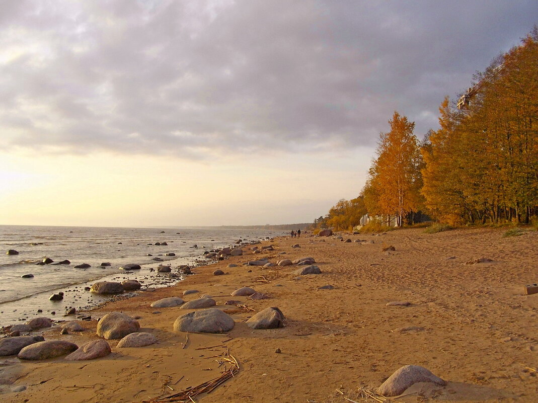 Осенние берега Финского залива. - Лия ☼