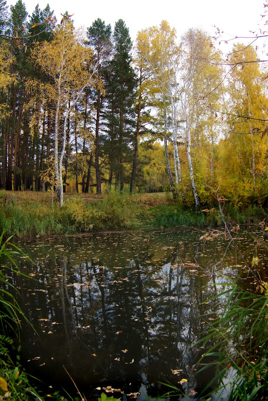Осень - Barguzin_45 Иваныч