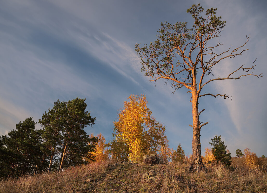 * - Александр Иванов