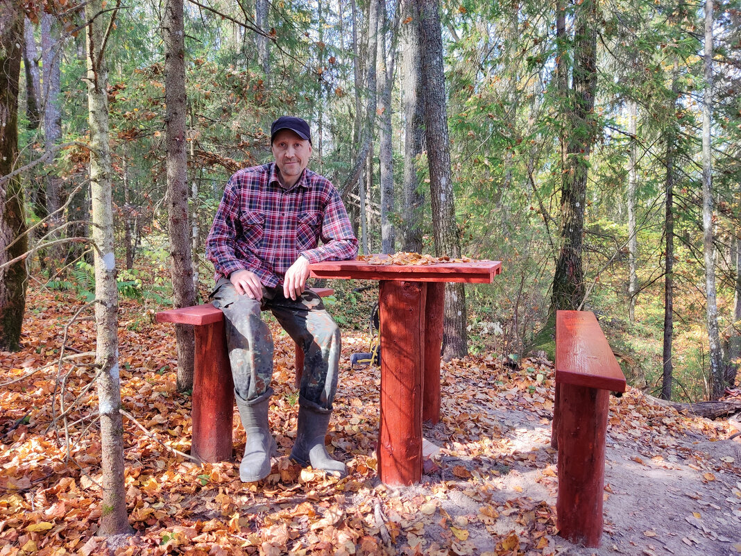 В лесной тишине - Денис Бочкарёв