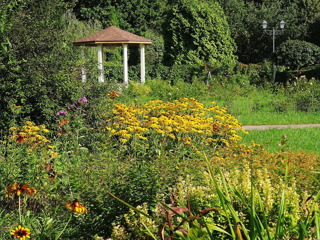 Беседка в Золотом саду Большого розария в парке Сокольники - Лидия Бусурина