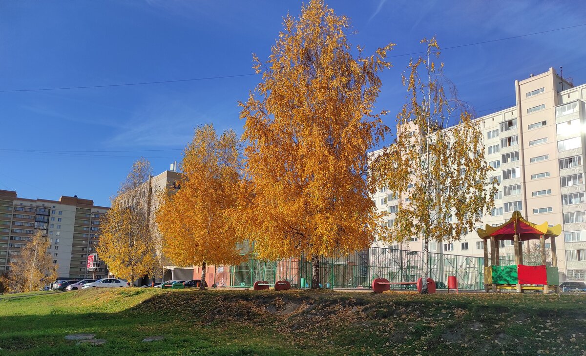 Рыжая осень в городе - Татьяна Лютаева