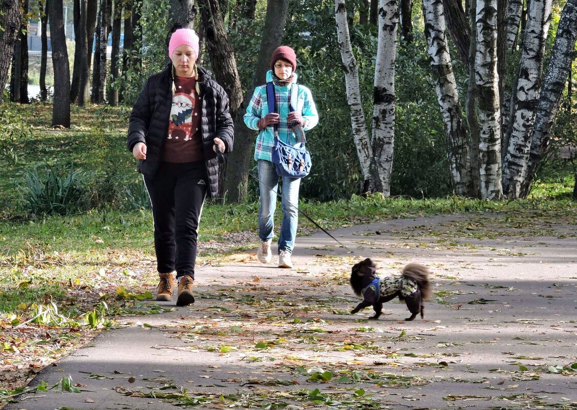 Прогулки в парке - Мария Васильева