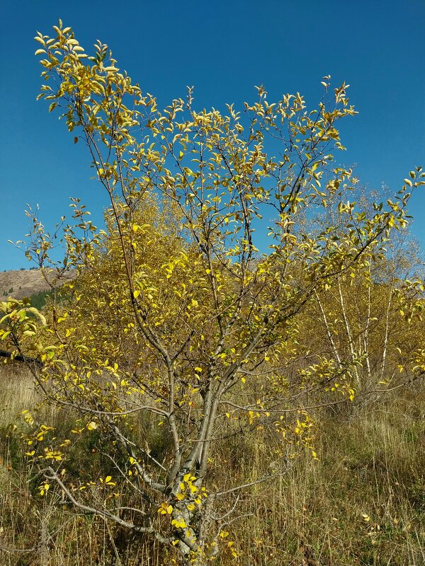 Almaty. - Murat Bukaev 