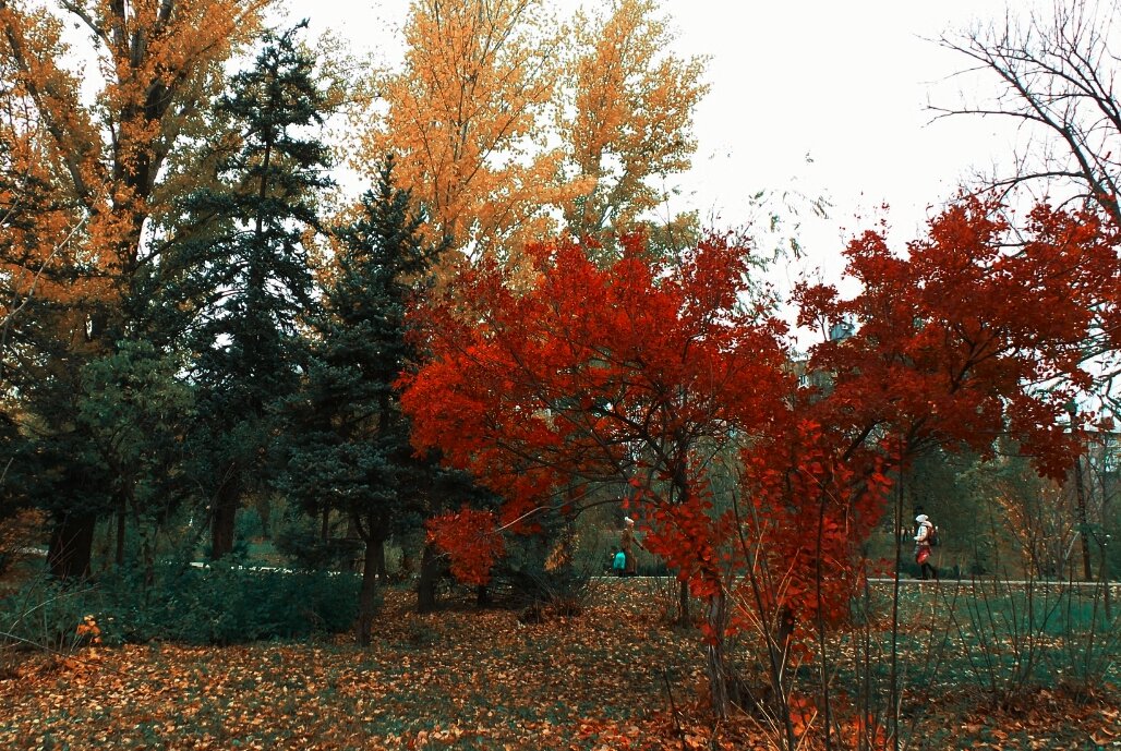 Палитра красок... - Юрий ГУКОВЪ