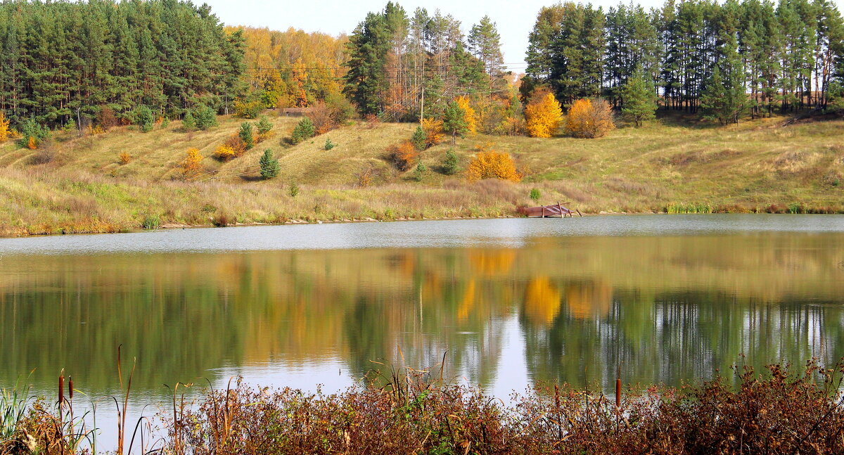 Осенний пейзаж. - Борис Митрохин