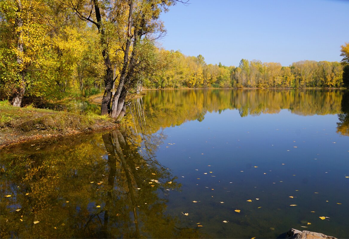 У воды - Наталия Григорьева