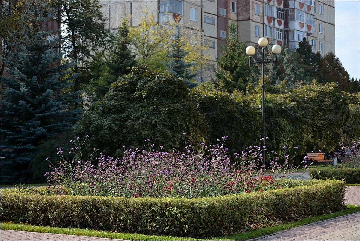 Октябрь в Белгороде - Сеня Белгородский