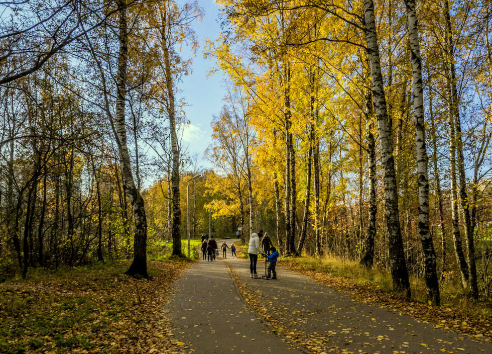 Осень в парке Оккервиль - Юрий Велицкий