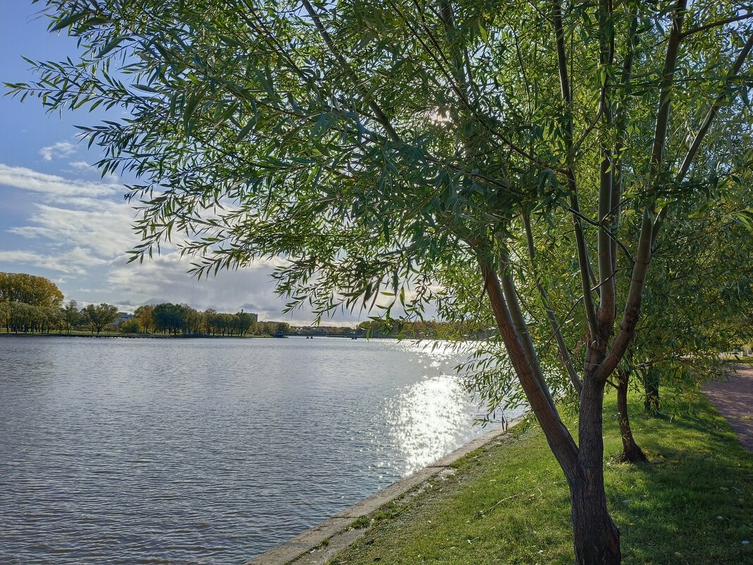 Серебром по воде - Мария Васильева