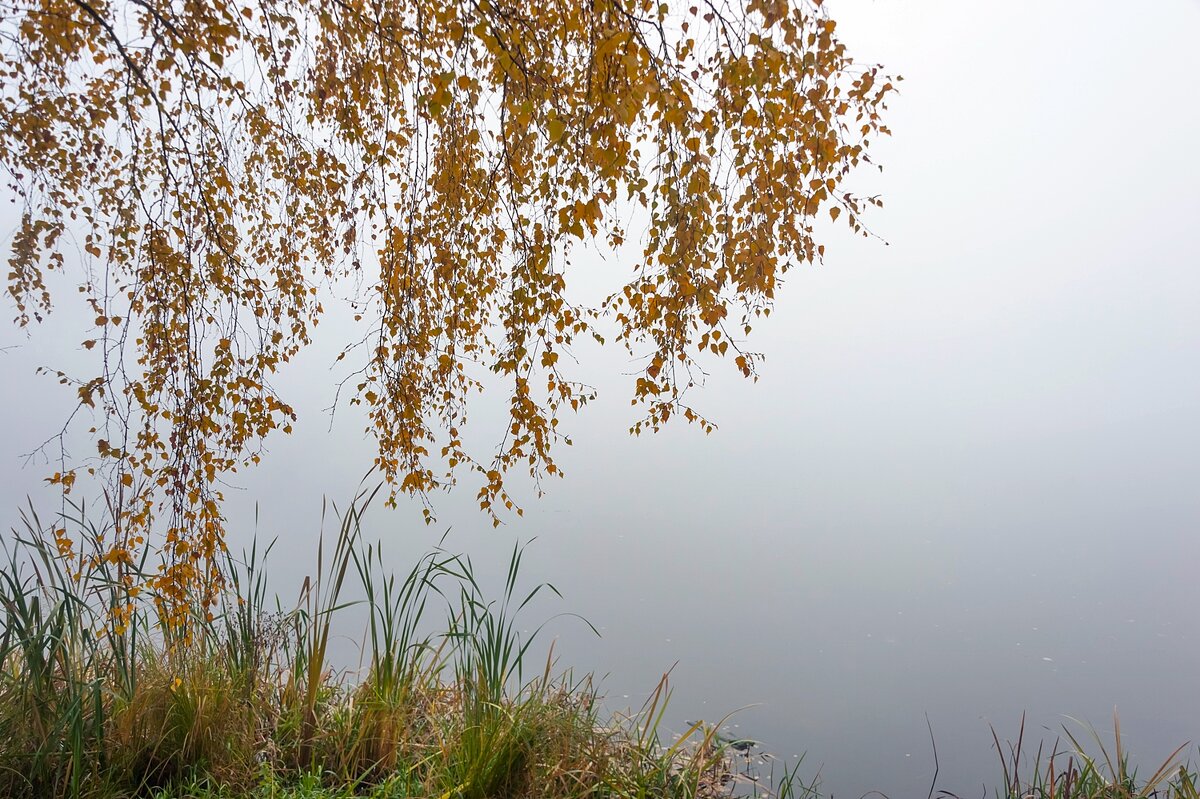 Туман на осенней реке - Валерий Иванович