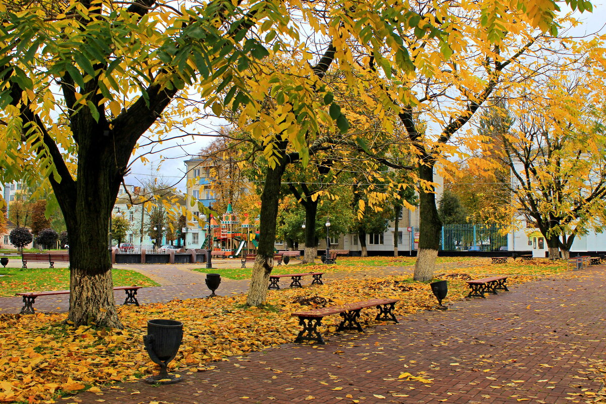 Осень - Сергей 