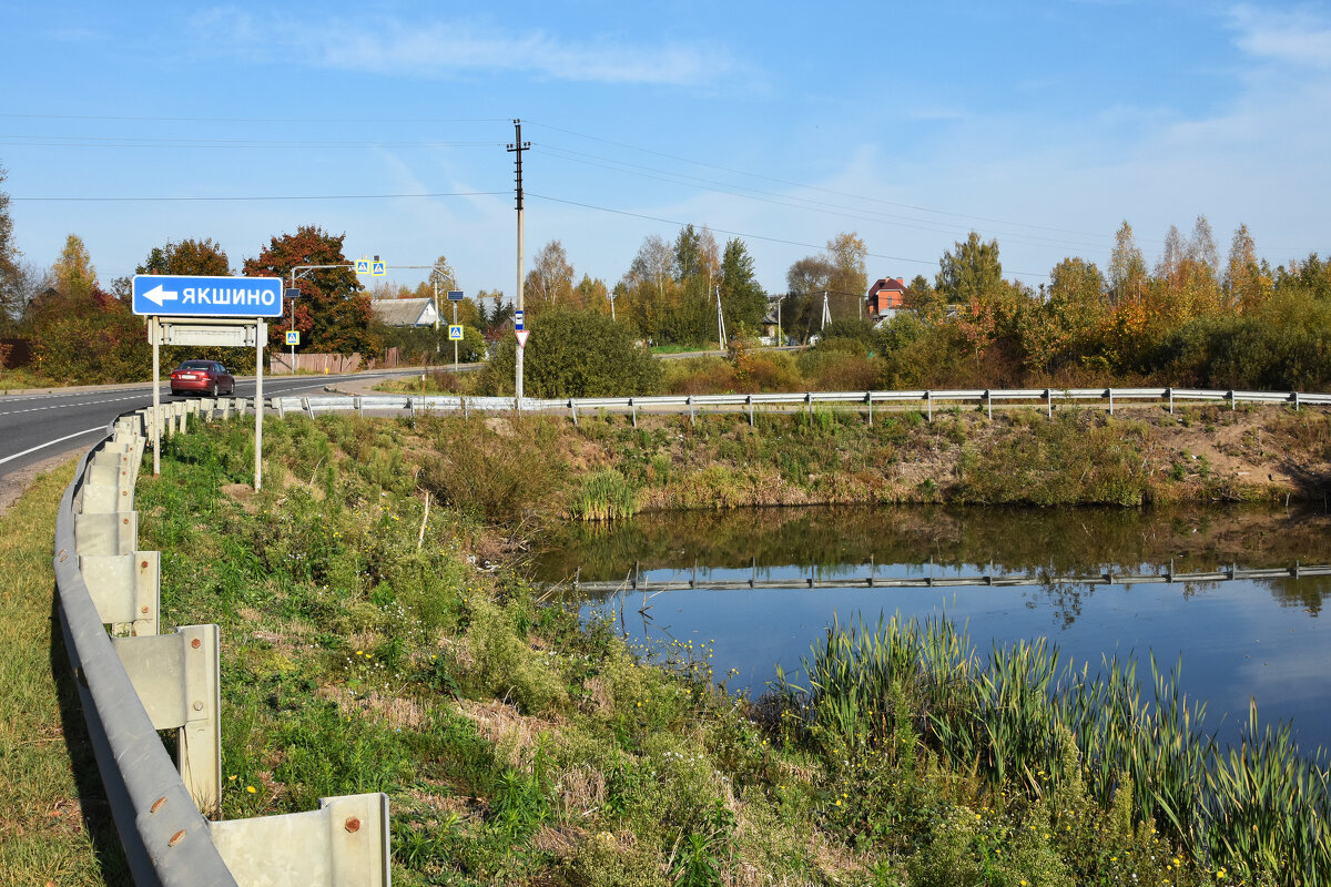 Московская область, городской округ Пушкинский, деревня Алёшино. - Наташа *****