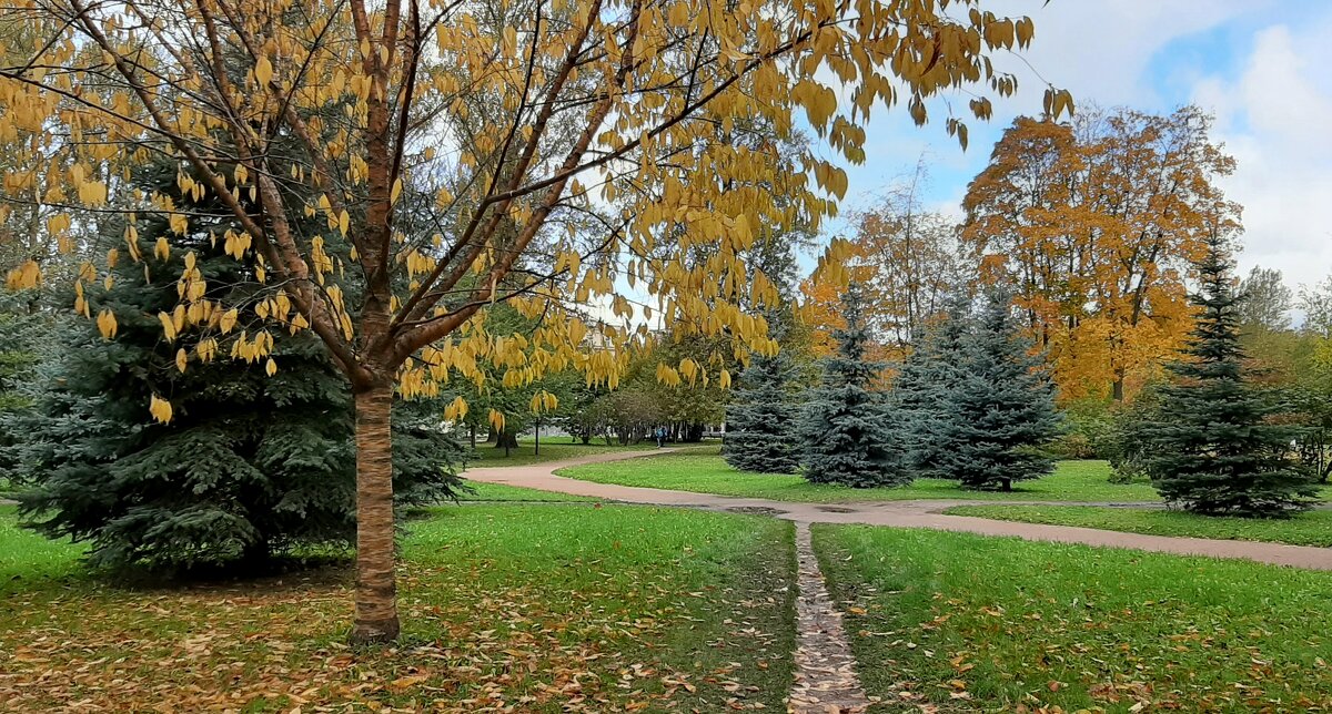 Осенний парк - Наталья Герасимова