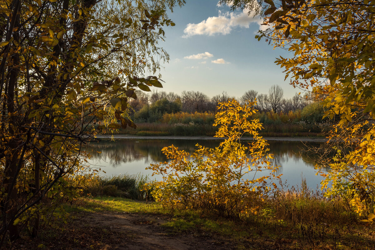 Осень - Владимир Жуков