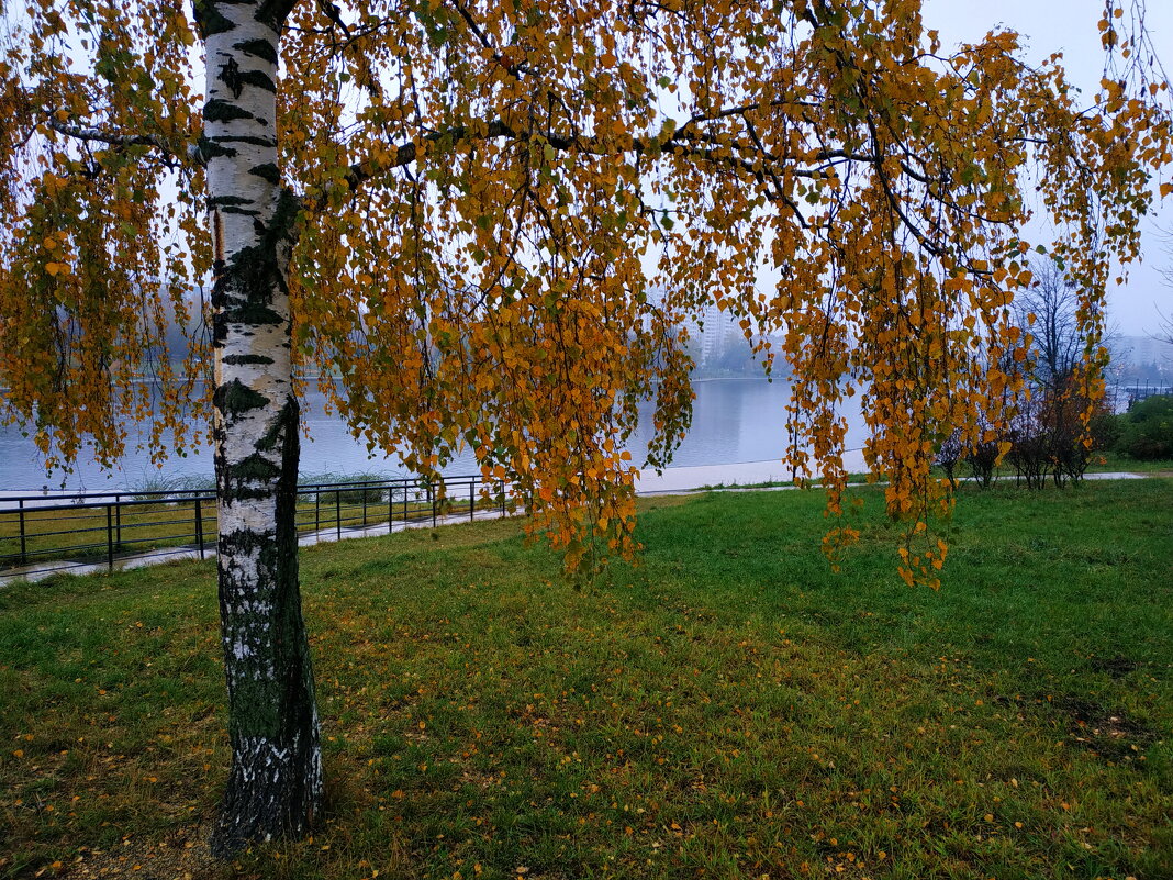 Октябрь в городе - Андрей Лукьянов