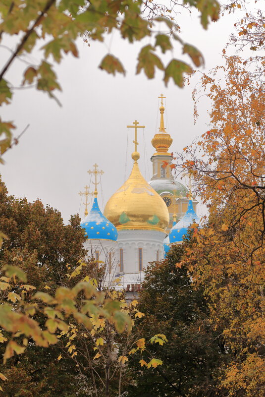 Новоспасский монастырь, Москва. - Viktor Nogovitsin