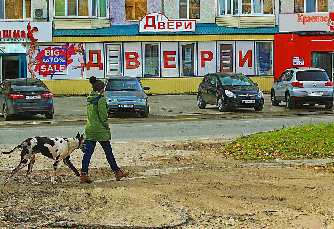 С собакой среди городской сутолки! - Владимир 