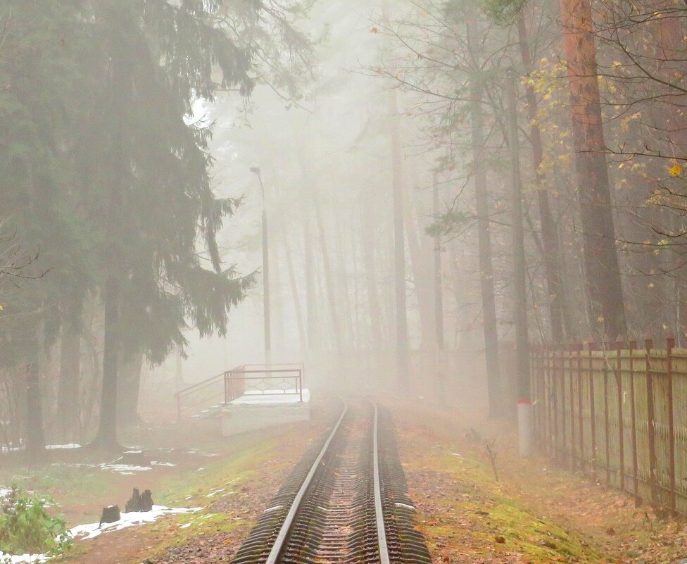 Путь в туман - Андрей Снегерёв
