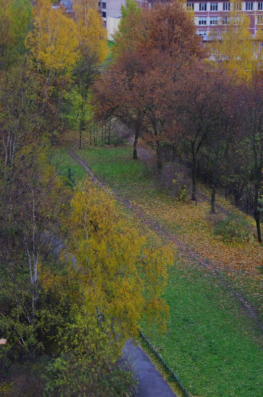 Ноябрь оголяет деревья... - Юрий Куликов