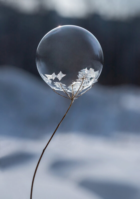 Пузырь - Андрей Пристяжнюк