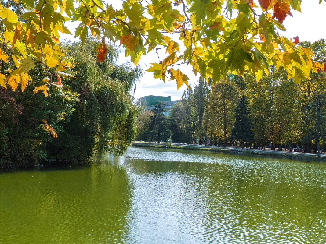 Осень в Гагаринском парке - Валентин Семчишин