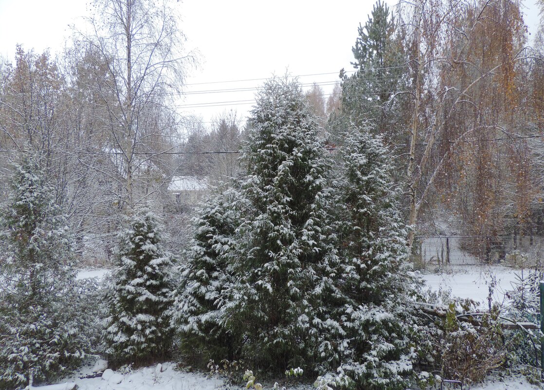Первый снег - Ирина 