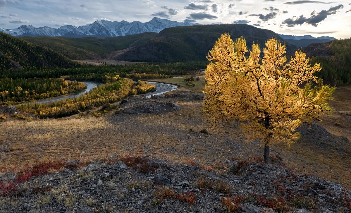 В закатных лучах солнца - Марина Фомина.