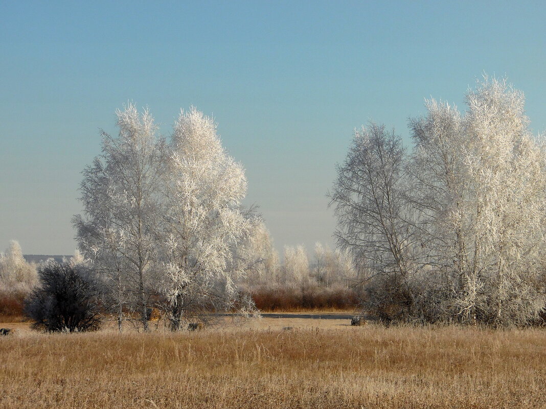 Кружевная осень. - nadyasilyuk Вознюк