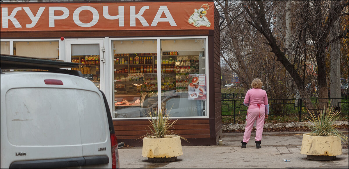 Курочка - Александр Тарноградский