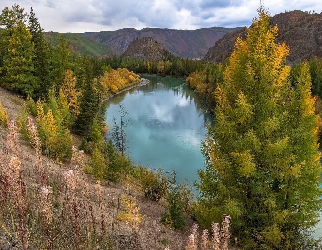 Осенняя Чуя - Марина Фомина.