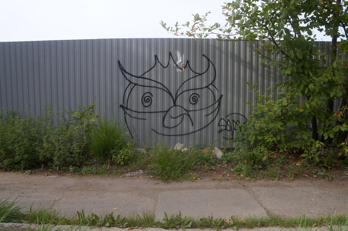 Что нарисовать на заборе на даче (43 фото)