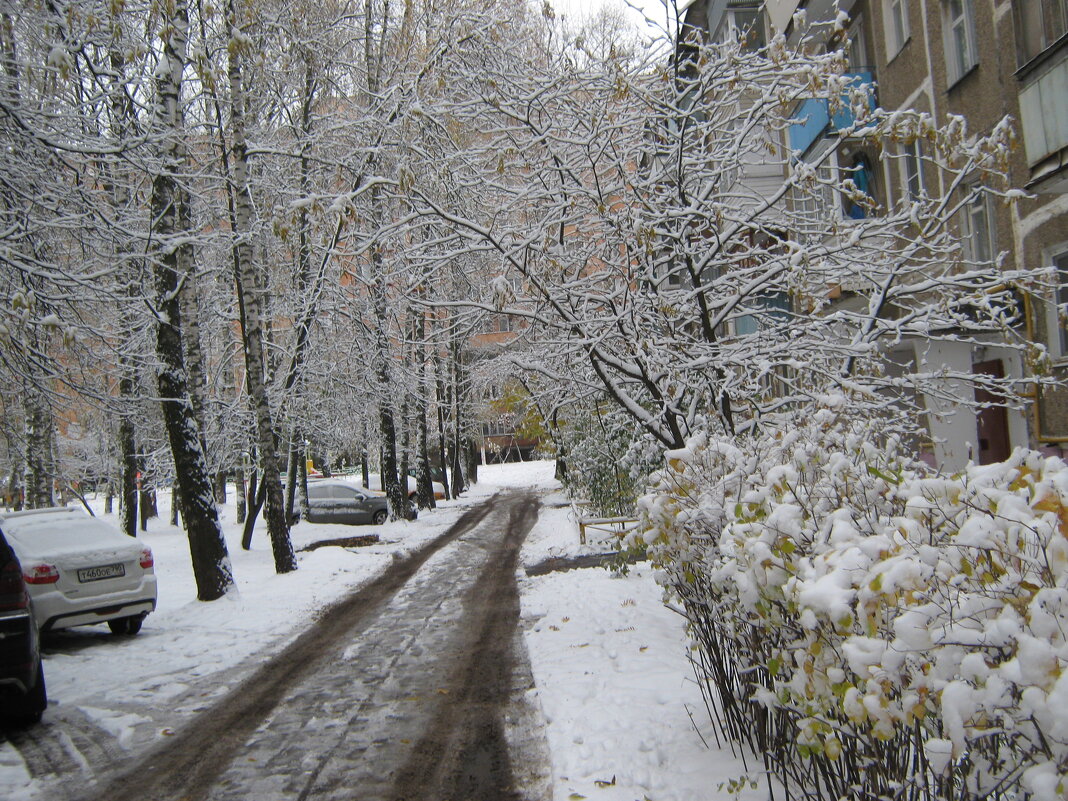 Первый снег - Елена Семигина