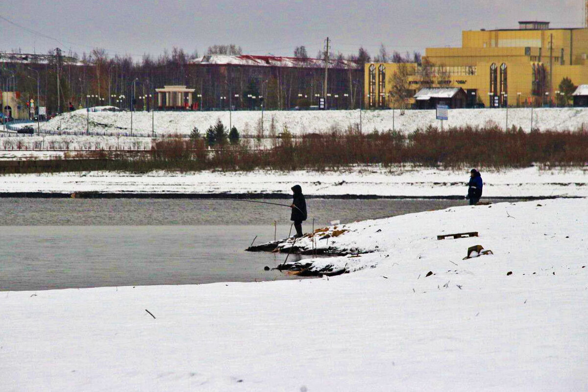 Ноябрь..Рыбалка в городе! - Владимир 