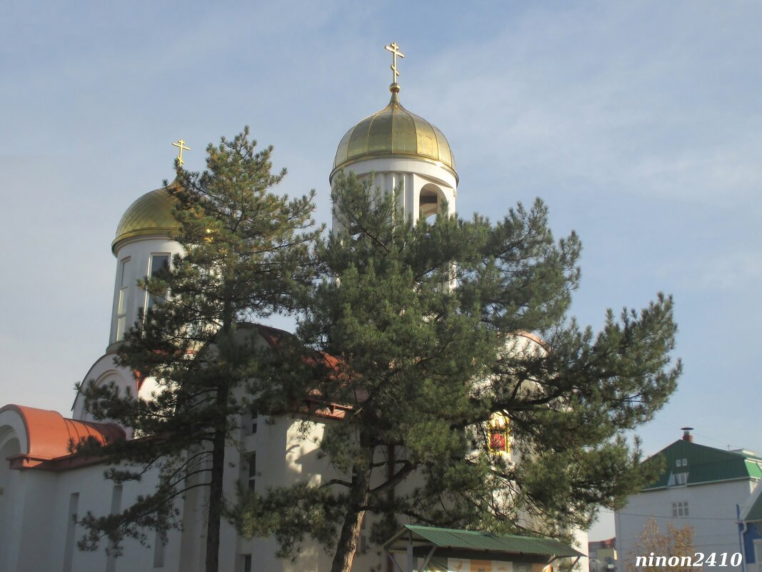 В Студенческом парке... - Нина Бутко