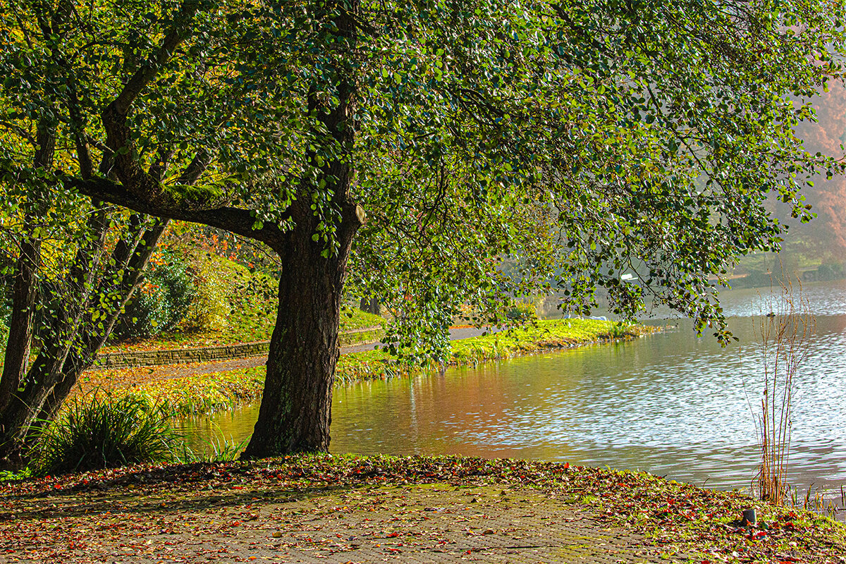 Осень в немецко-французском парке. - Lucy Schneider 